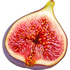 Sicilian fig